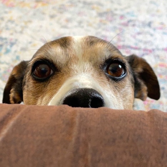 Meet your Posher, Jleann - Picture 1 of 1